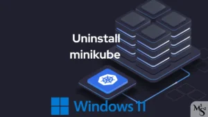 Force Delete the .minikube Folder on Windows 11